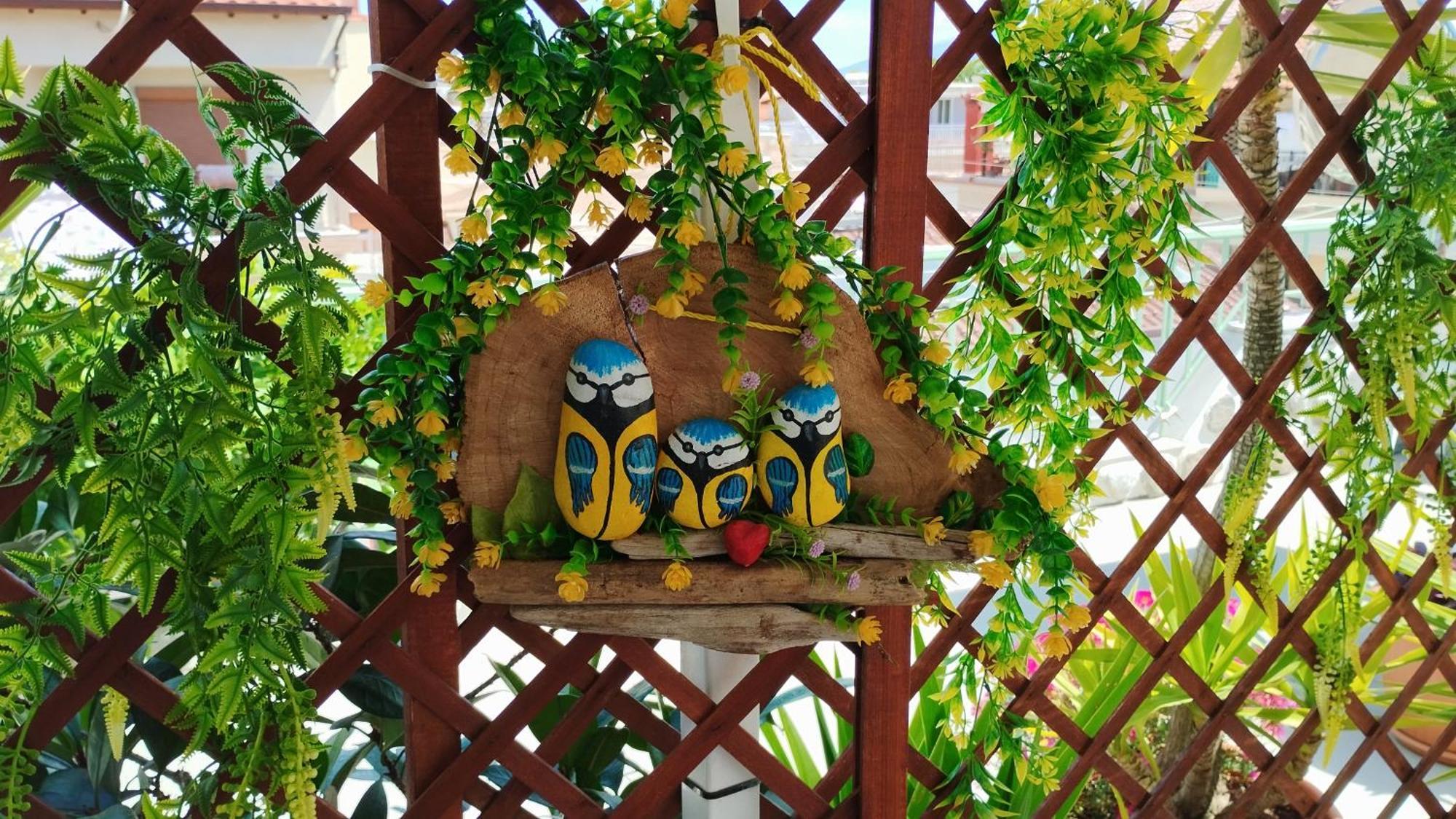 Suzy's Nest * Asprovalta